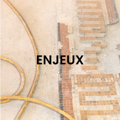 Enjeux