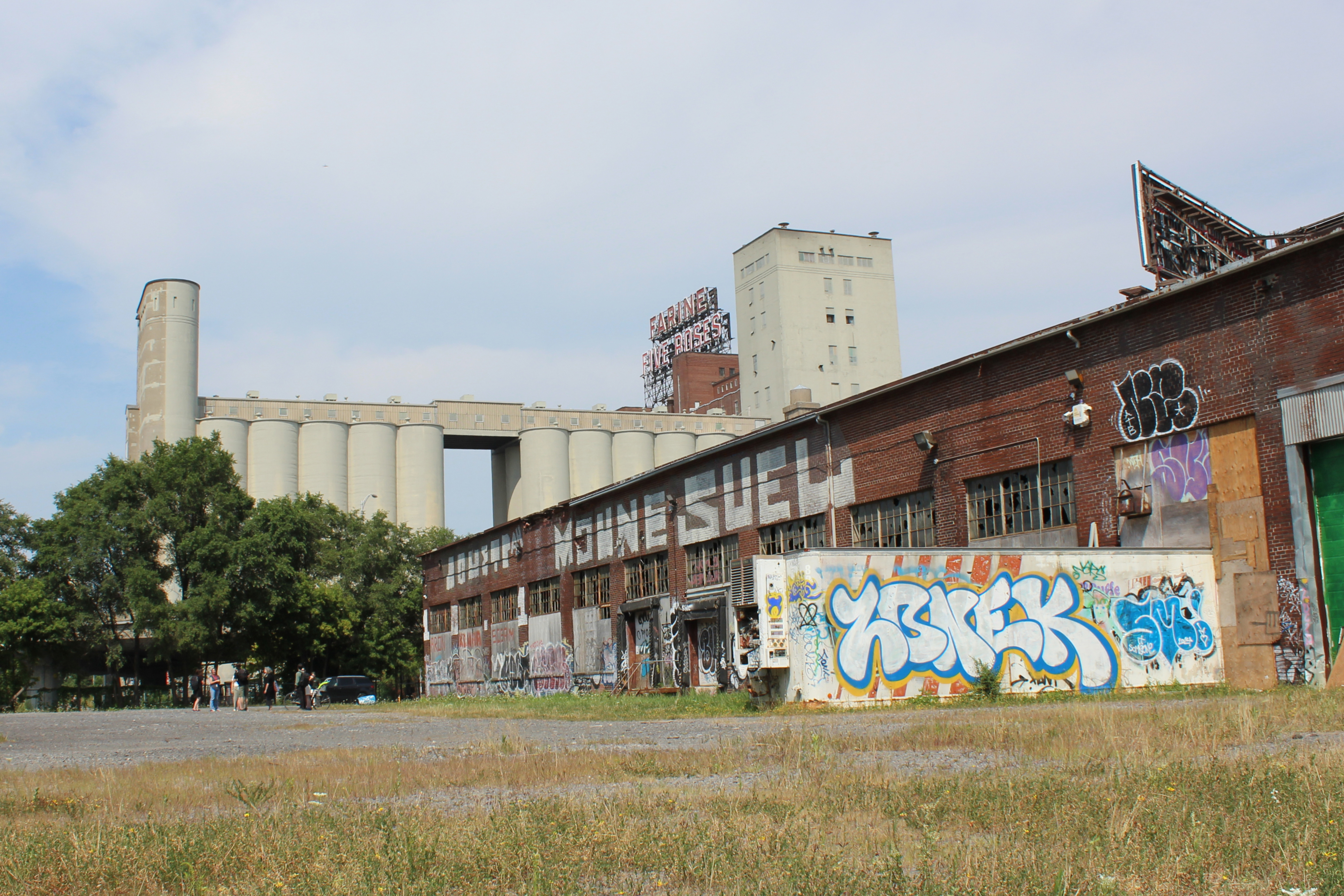 1151 rue Mill 1151 rue Mill