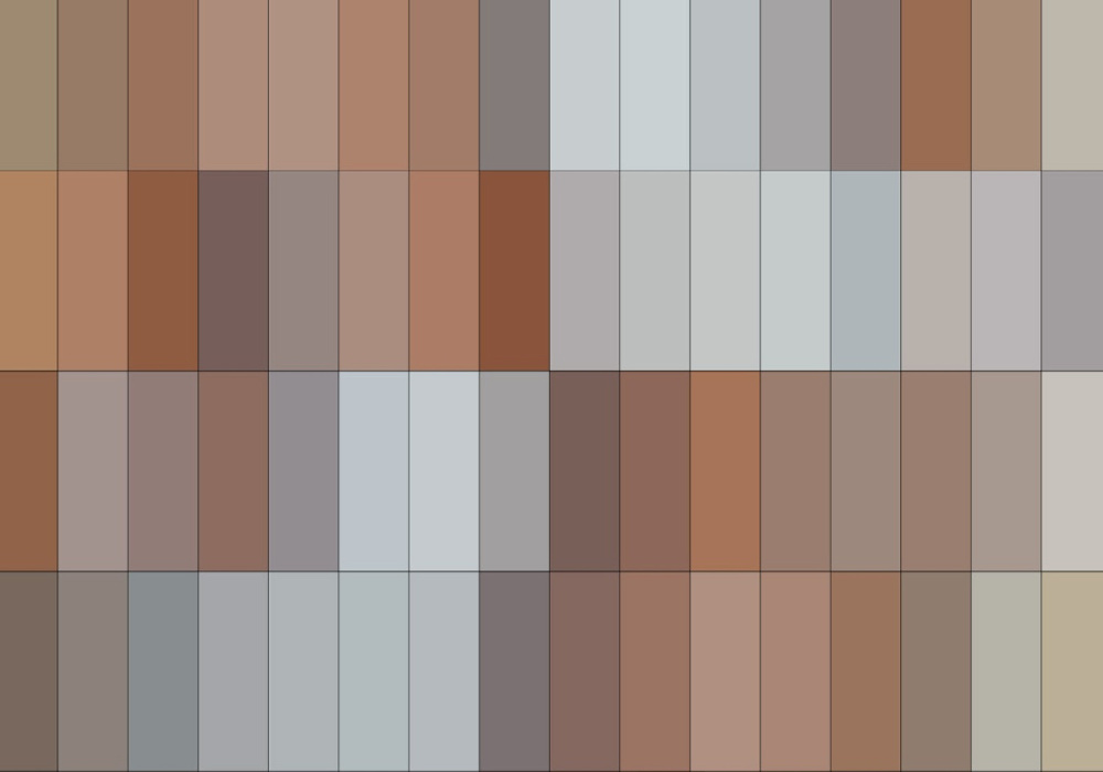 Séance d’informations en ligne - Appel à propositions pour la création d’une fresque au MNBAQ